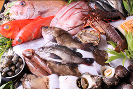 店で使用する海鮮は鮮度抜群、毎朝浜松市場から仕入れています。